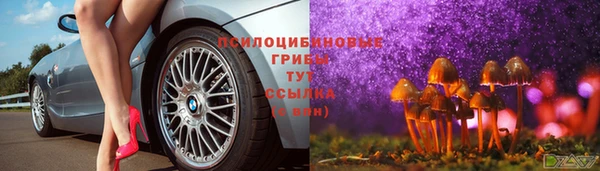 СК Гусь-Хрустальный