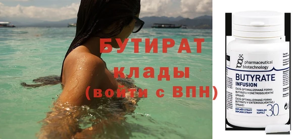 индика Гусев