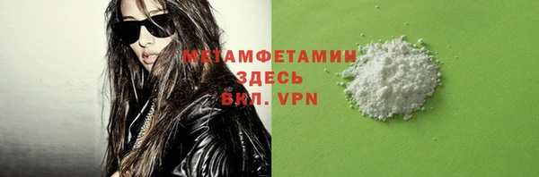 индика Гусев