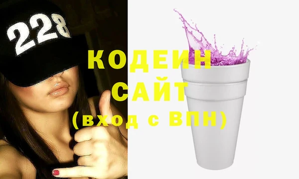 индика Гусев