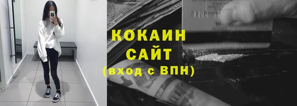 индика Гусев