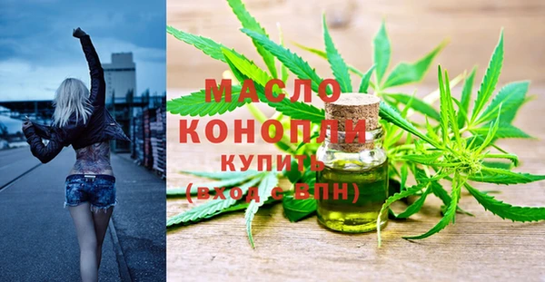 индика Гусев