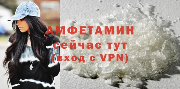 индика Гусев
