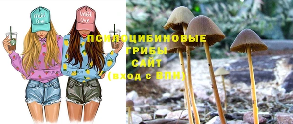 MESCALINE Гусиноозёрск