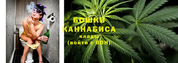 ECSTASY Дмитриев