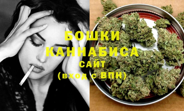 ECSTASY Дмитриев