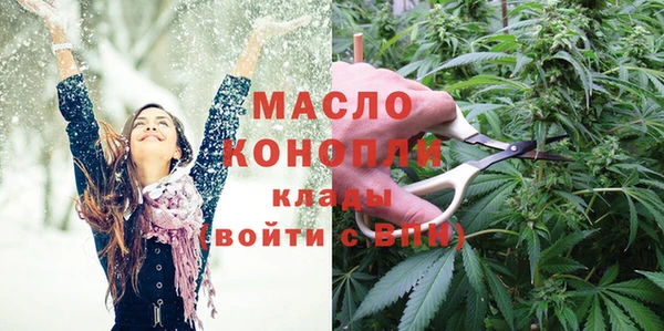 индика Гусев