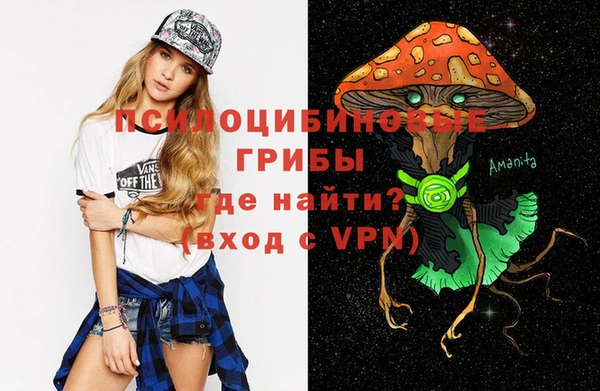 индика Гусев