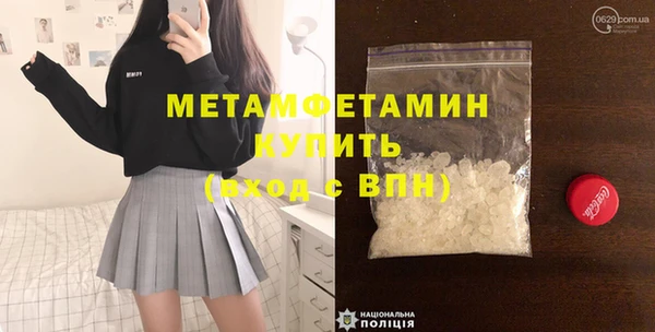 индика Гусев